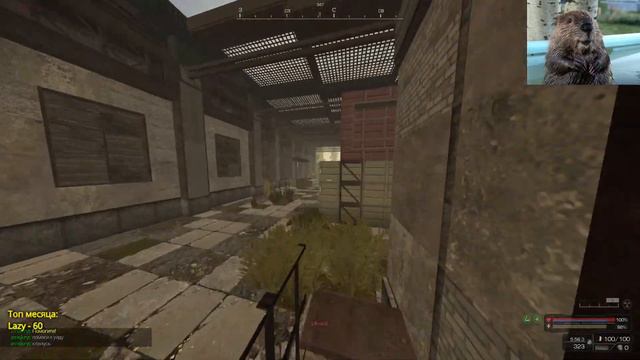 STALCRAFT twitch или youtube? смотреть онлайн