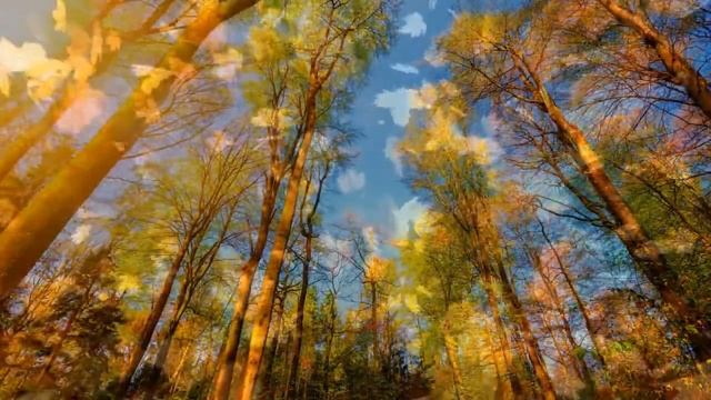 Л. ВЕЛИКАНОВА Прощальный Вальс лета... смотреть онлайн