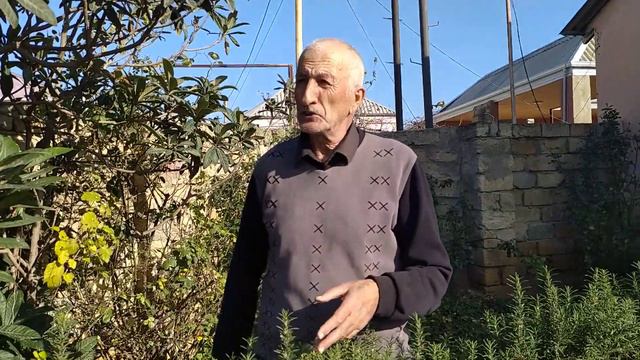 BİBƏRİYYƏ( ROZMARİN) ÇOXLU XƏSTƏLİKLƏRİN DƏRMANIDIR. смотреть онлайн