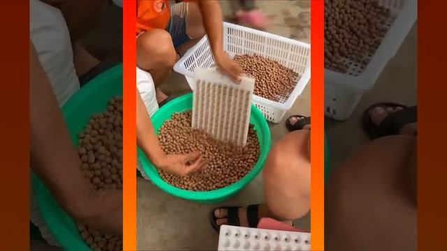1 Hour Oddly Satisfying Video That Relaxes You Before Sleep with Calming Meditation Music смотреть онлайн