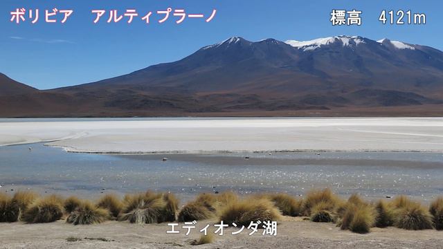 #11【ボリビア　アルティプラーノ】Altiplano in Bolivia（アタカマ越え・ウユニ塩湖・ラグナコロラダ・ペリカン）（世界の絶景４） смотреть онлайн