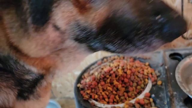 ПЕРВЫЙ ДЕНЬ В АМЕРИКЕ / БЕСПЛАТНАЯ ПОМОЩЬ И ДОКУМЕНТЫ В США смотреть онлайн