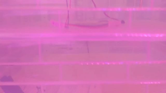 Тест температуры и влажности в китайском инкубатора на 96 яиц смотреть онлайн