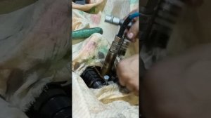 Honda HR-V . Маслосьëмные колпачки. Регулировка клапанов.