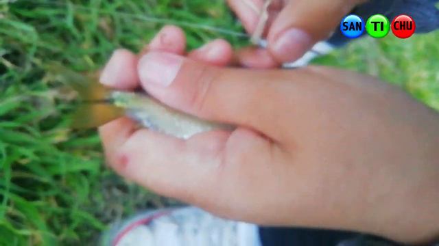 Mojarra 04 - Parque Juan de Garay - Santa Fe смотреть онлайн