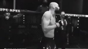 Хамзат Чимаев бой