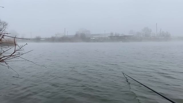 Рыбалка на Сырдарье!! Ловля карася на Маховую удочку. смотреть онлайн