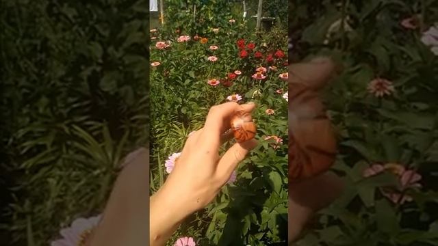 Нож для раскроя кожи