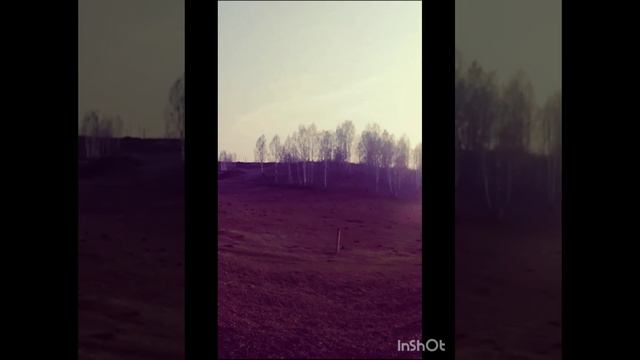 Прыжок на питбайке #Shorts смотреть онлайн