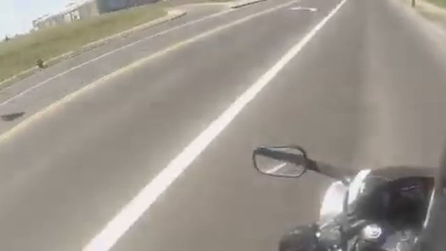 Honda cbr600 f2 смотреть онлайн