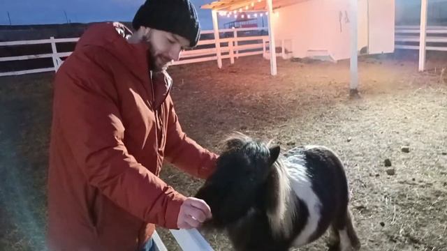 Из Нижнего в Кисловодск на Ниве. Часть 4. Барашки. смотреть онлайн