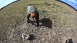 Охота на лису капканами по чернотропу | Подробно