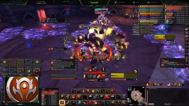 Dark Omen VS. Trilliax in Nighthold HC смотреть онлайн