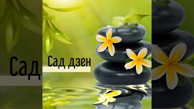 Дзен-ощущения смотреть онлайн