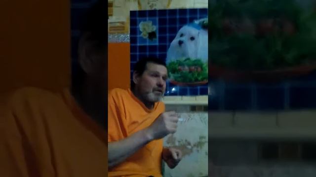 Певун(4) смотреть онлайн