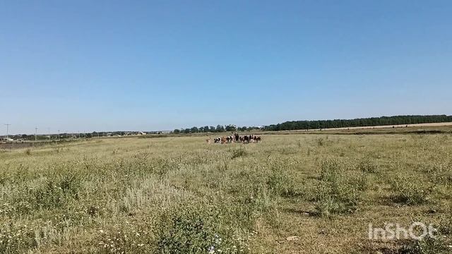 Беда с глазами. Как их лечить? смотреть онлайн