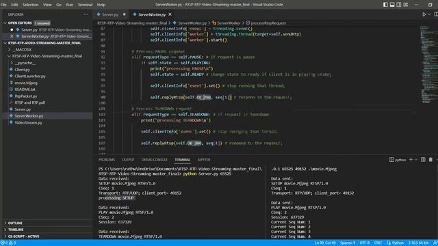 RTSP-RTP Streaming Video Protocol MG19 смотреть онлайн
