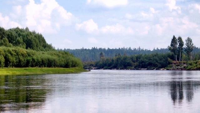 Наши заповедные места: Норский заповедник. смотреть онлайн
