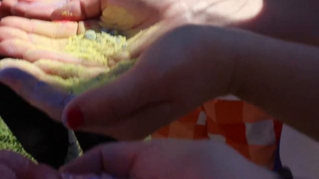 UNT Kappa Kolor Run смотреть онлайн
