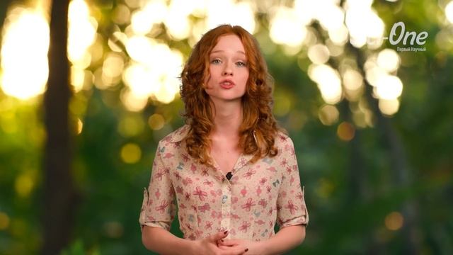 Можно ли прожить без головы? смотреть онлайн