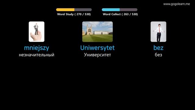 Выучить польский через картинки |польский словарь основная средняя школа | Golearn
