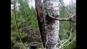 В ТАЙГУ НА ДВЕ НЕДЕЛИ! Жизнь и Промысел в дикой тайге! 5 серия!