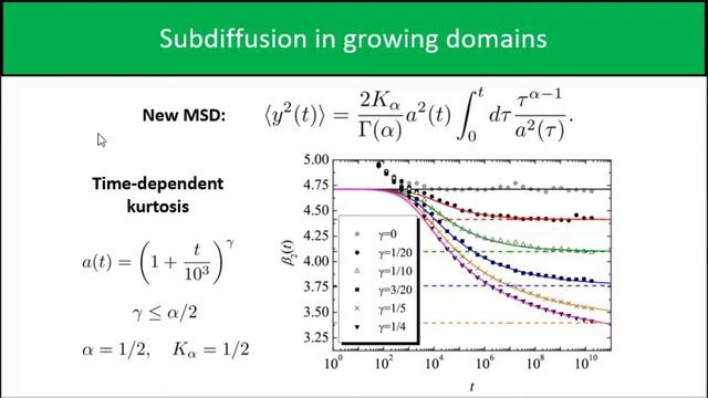 Continuous time random walk in a velocity field: role of domain growth, Galilei-invariant... смотреть онлайн