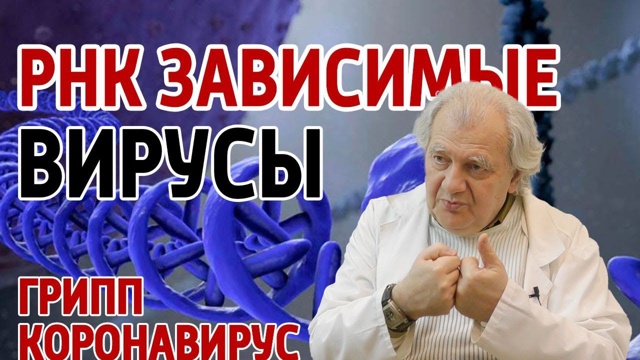 РНК Зависимые вирусы. Лектор: Анатолий Алименко (отрывок из лекции)