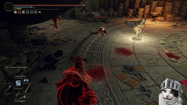 ELden Ring INVASIONS - 0 IQ Intelligence MAGE (Mage/Bruiser Build) PvP смотреть онлайн