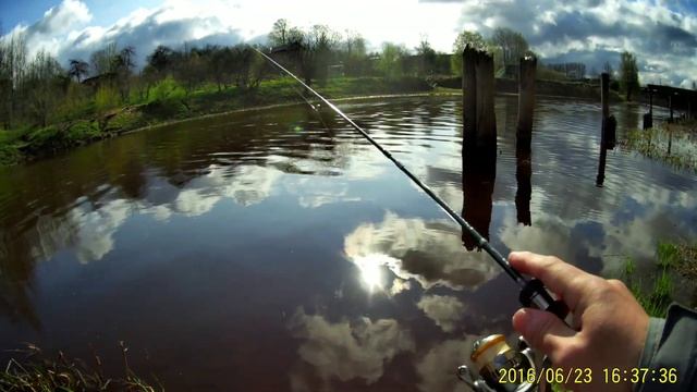 Мормышинг! Мормышинг крупная майская плотва на спиннинг DAYO PRESTIGE CX-4 смотреть онлайн