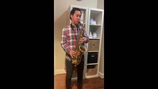 Saxophone Mouthpieces: Selmer Modern Soloist C* First Generation #Selmermouthpieces смотреть онлайн