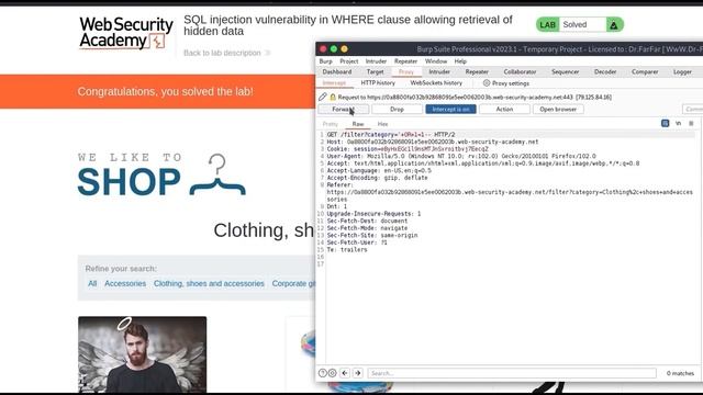 SQL Injection Capture Hidden Data смотреть онлайн