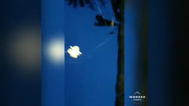 Paano Humuli ng Insecto/ Pagkain ang GAGAMABA na to?WoW! смотреть онлайн