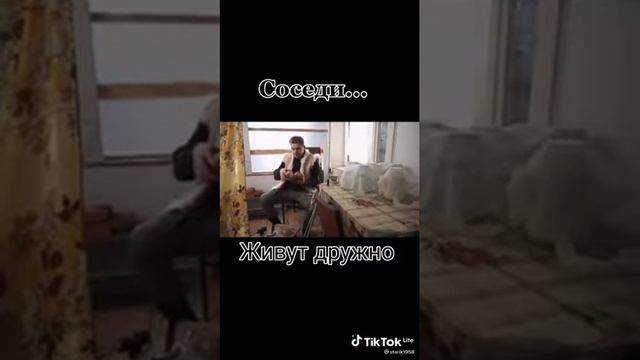 дружные соседи)) смотреть онлайн