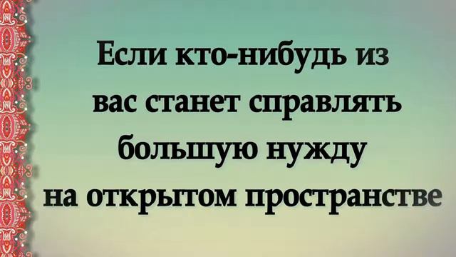 Как правильно ходить у таулет. Сахих Бухари. Хадис № 144 смотреть онлайн