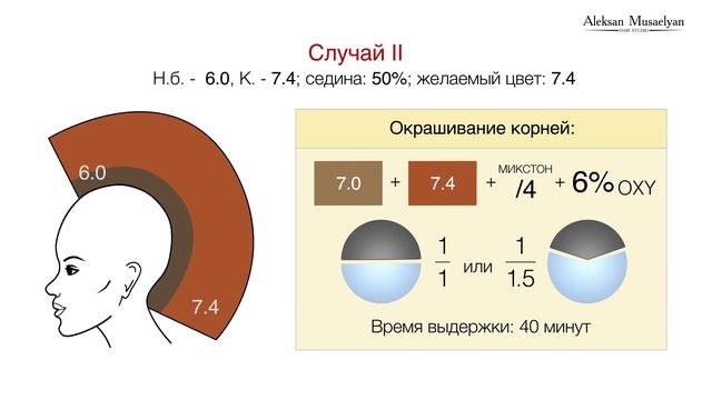 Алексан Мусаелян - Колористика. Урок№5. Работа с сединой