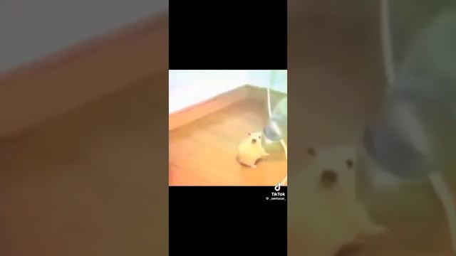 я вернулся