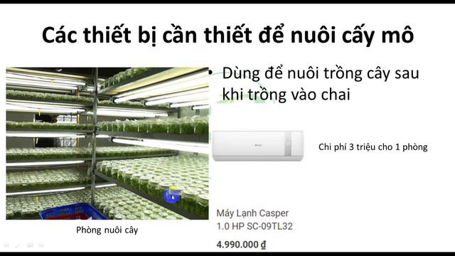 KBao'sGarden chơi lớn chi 3 tỉ VND để làm clip hướng dẫn nuôi cấy mô cây bắt mồi ( phần 1 ) смотреть онлайн