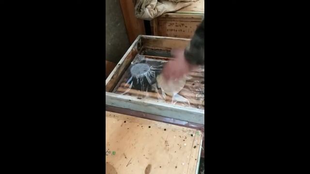 Пора будить пчёл. смотреть онлайн