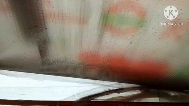 Утепляем теплицу старой плёнкой. Вспахал землю под лук. Печку в теплице топим. смотреть онлайн