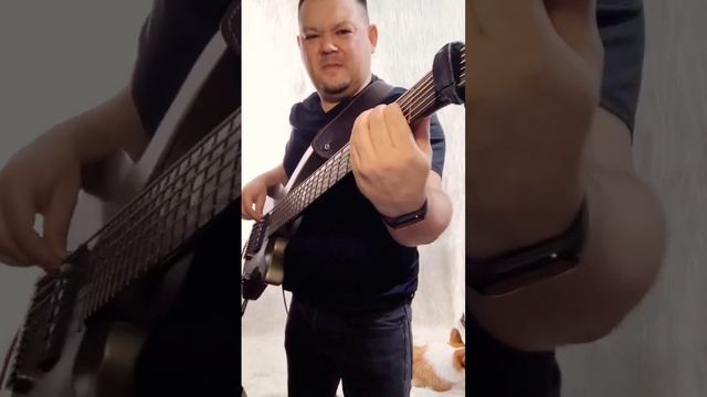 Eventi (Ивенти) - Седьмой лепесток (cover Антон Токарев) @eventiband8650 @antontokarevmusic #cover смотреть онлайн