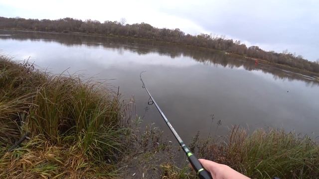 Какой клёв, такой и улов! Одиночный окунь твичингом на Оке. Конец Октября 2022 смотреть онлайн