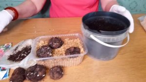 Клубневая БЕГОНИЯ. Секреты проращивания клубня. Просто и легко.