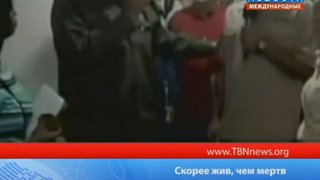 Скорее жив чем мертв смотреть онлайн