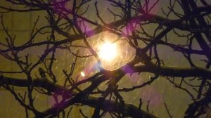 Футаж Снег и Фонарь. Зимний Футаж Снежинки Вокруг Фонаря. Футажи для видеомонтажа. Видеофутажи