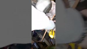 Пежо 407. Пенется масло в ГУР