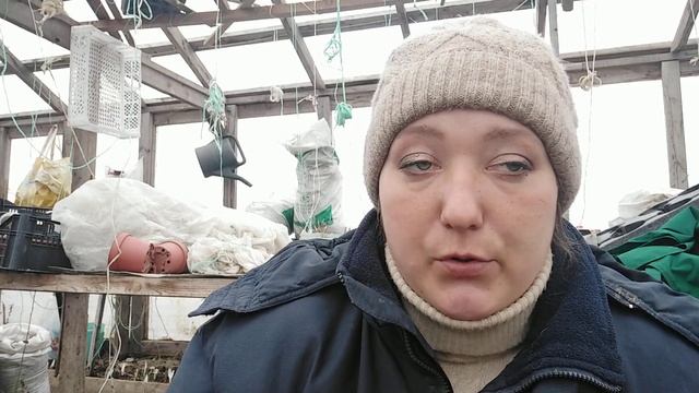 ГАДЮКИ. ОПАСНАЯ ЗМЕЯ смотреть онлайн