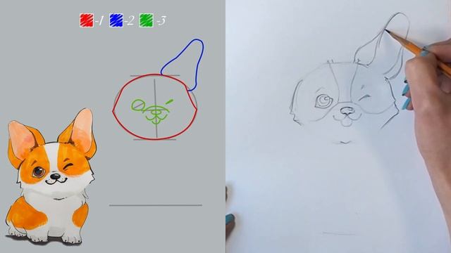 КАК НАРИСОВАТЬ СОБАКУ, ПОЭТАПНЫЙ РИСУНОК смотреть онлайн