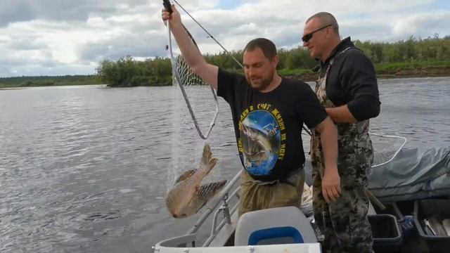 ЩУКИ - МОНСТРЫ!. Таких крокодилов вы точно не видели.  Fishing On The River Sob. Yamal