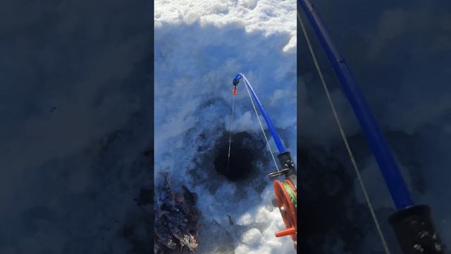 зимняя рыбалка в Северной Карелии февраль смотреть онлайн